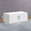 2-Door Metallic Office Cabinet - 3