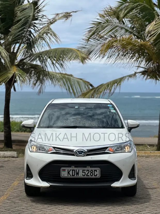 Toyota Axio 2019 White - 1