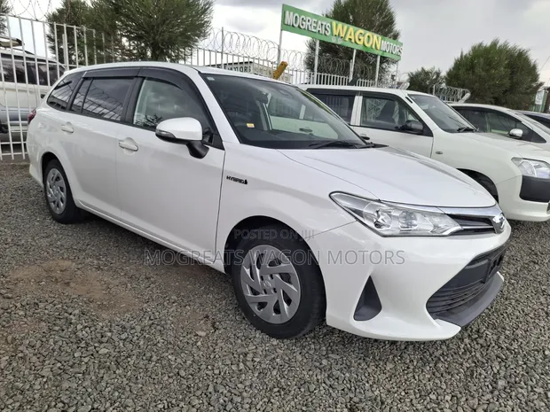 Toyota Corolla Fielder 2019 Nyeupe - 1
