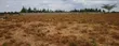 Mbuni Plots Near Ostrich Farm, Kitengela - 2