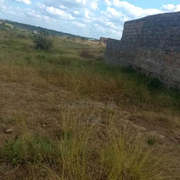 Thika Muthaara Plot for Sale - 40x80 with Title Deed - 1