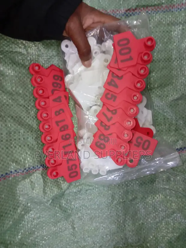 Animal Reference Ear Tags (Pack) - 1