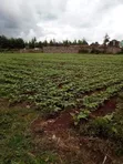 3-Bedroom Block of Flats for Sale in Umoja, Egerton Area - 2