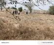 Sidai Gardens Phase 2 Land for Sale - 3