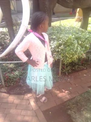 Domestic House Help Wanted - Kangemi