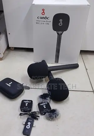 C&C Professional Dual Wireless Microphone System