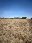 1/8 Acre Land for Sale in Katani - 2