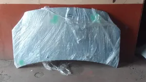 Toyota IST Bonnet