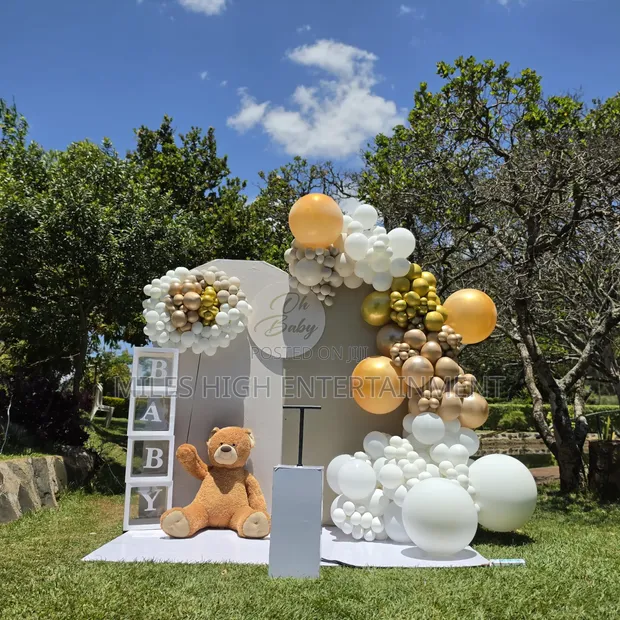 Gender Reveal Decor Services - 1