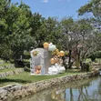 Gender Reveal Decor Services - 2