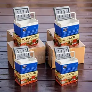 High Quality 4.5L Portable Cooler Box Ice Box