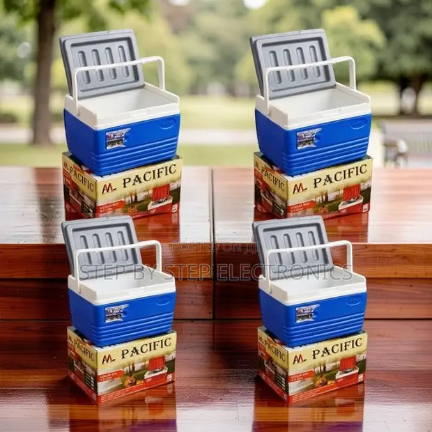 4.5L Handheld Portable Cooler Box Ice Box - 1