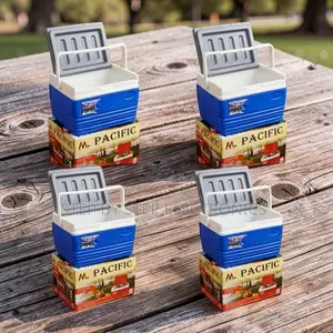 4.5L Handheld Portable Cooler Box Ice Box