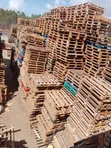 Wooden Pallets - Quality & Versatile - 3