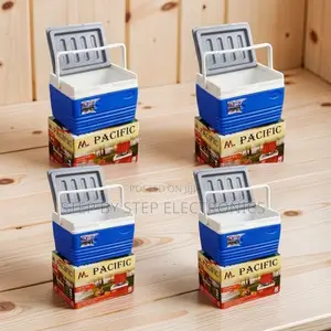 4.5L Handheld Portable Cooler Box Ice Box