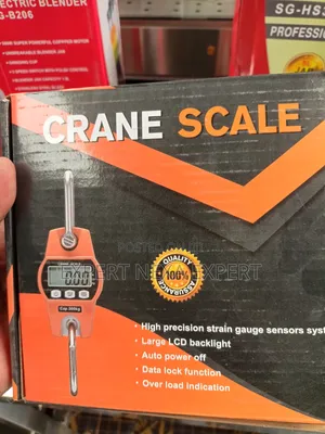 Crane Scale - 500kg Capacity