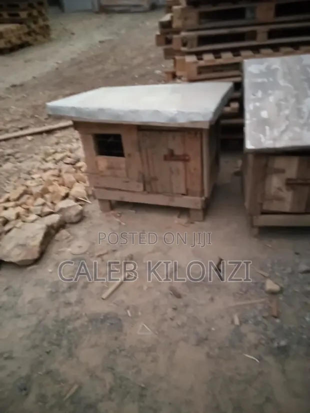 Small Dog House - 1