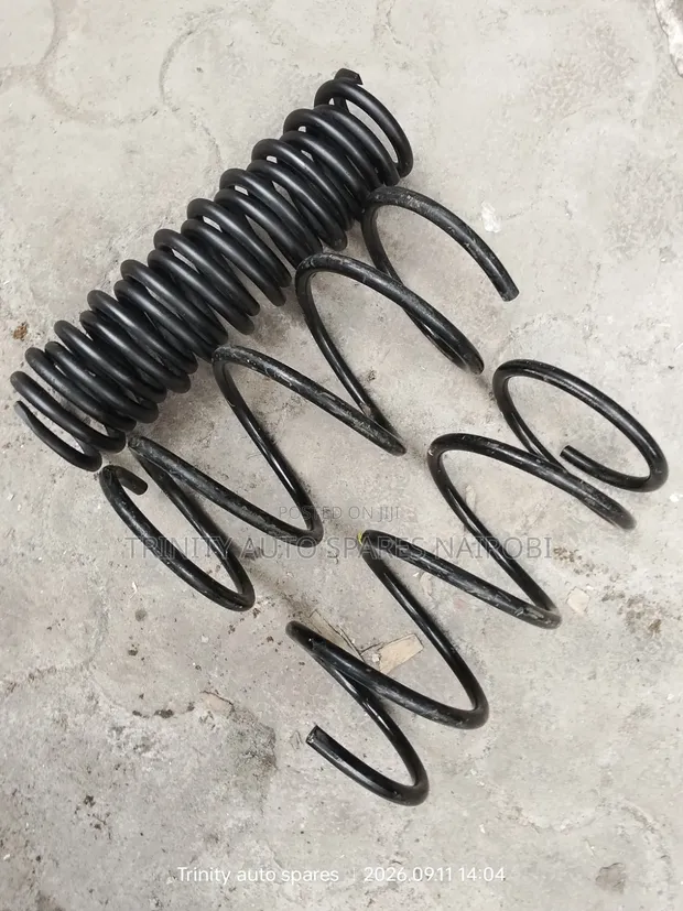 Original Heavy Duty Springs Mercedes-Benz W203 - 1