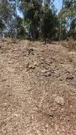 Manure for Sale - 2