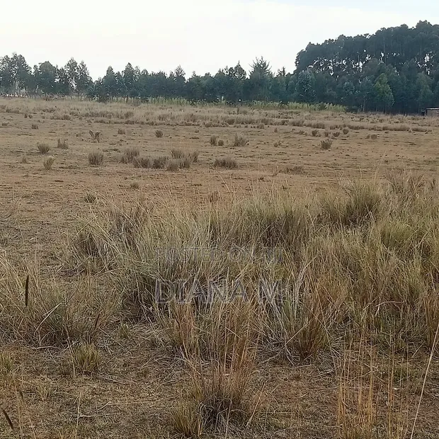 10 Acres Land for Sale in Ol Jororok - 1