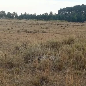 10 Acres Land for Sale in Ol Jororok