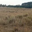 10 Acres Land for Sale in Ol Jororok - 1