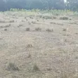 10 Acres Land for Sale in Ol Jororok - 5