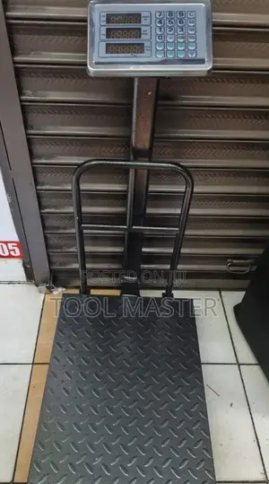 300kg Digital Platform Scale