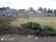 Ruai Plot for Sale - 100x100ft - 1