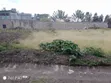 Ruai Plot for Sale - 100x100ft - 2