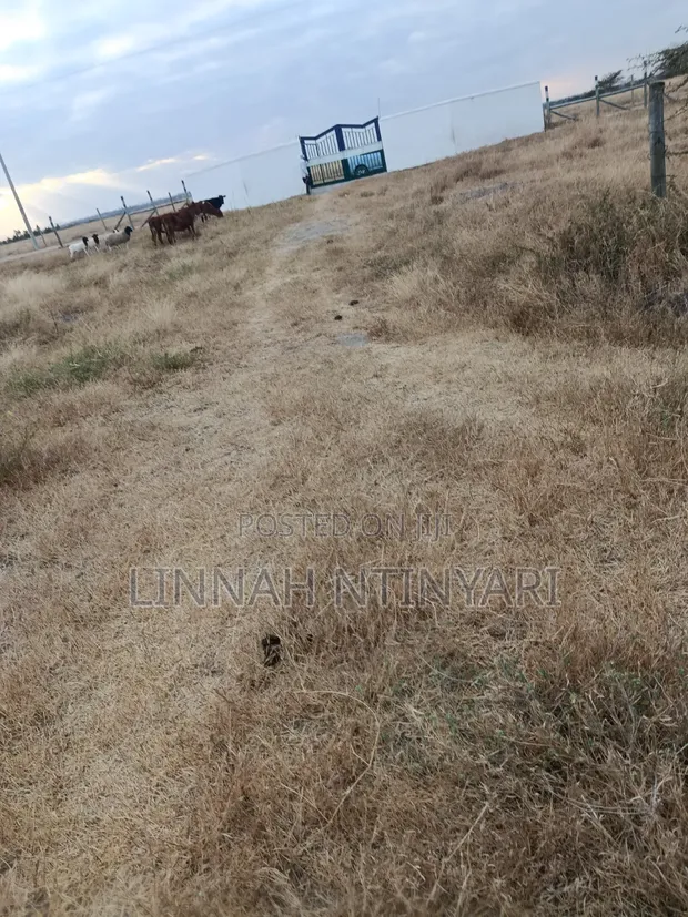 50x100 Plots for Sale in Kisaju - 1