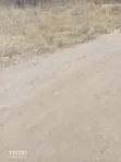 Malindi Mayungu Eka 8 kwa Hoteli / Uchumi wa Bluu - 1