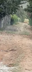 1.5 Acre Residential Land for Sale in Ndeiya, Limuru - 2
