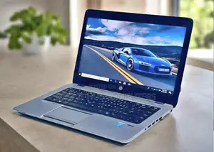 HP EliteBook 840 G1 Laptop - Core i5, 8GB RAM, 500GB HDD