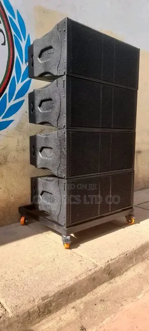 Locally Made 12-Inch Line Array Cabinet