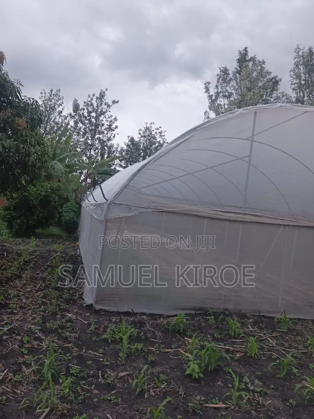 Metallic Green House - 10x30m - 1