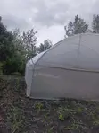 Metallic Green House - 10x30m - 1