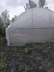 Metallic Green House - 10x30m - 3