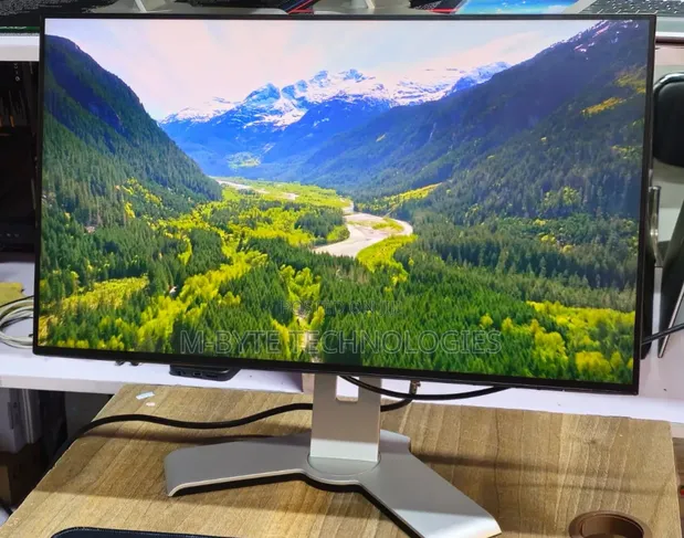 Dell U2421HE 24" Full HD USB-C Monitor - 1