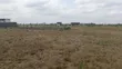 Affordable 50x100 Plots in Kitengela - 1