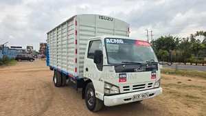 Isuzu NPR 2018 Truck