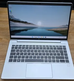 HP ProBook 645 G10 Laptop: 16GB RAM, 256GB SSD, Ryzen 5