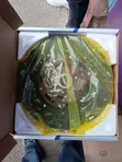 Genuine Exedy Clutch Disc for Isuzu NQR 4.3 Blue Power - 2
