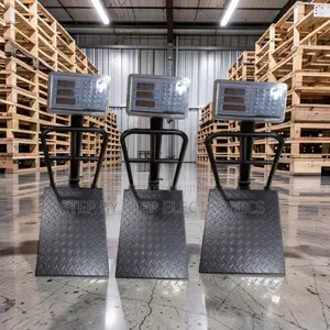 Heavy Duty Digital Platform Weighing Scales (100kg-300kg)