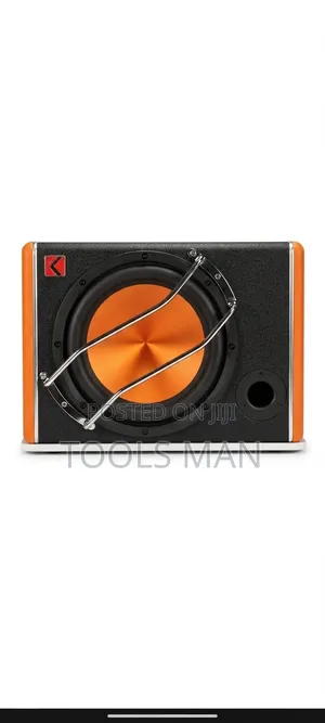 10 Inch Active Car Subwoofer with Tweeter