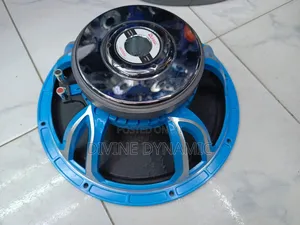 Derwel 15" DE 600 Speaker