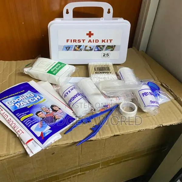 Sleek Modern First Aid Kit with Clear Compartments - 1