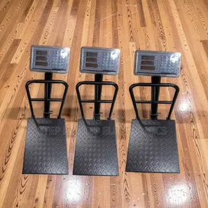 Digital Platform Weighing Scales (100kg-300kg)