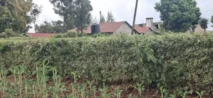 Kitalu cha Makazi cha 60x100 kwa Uuzaji - Ngecha Ring’ati B