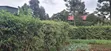 Kitalu cha Makazi cha 60x100 kwa Uuzaji - Ngecha Ring’ati B - 4